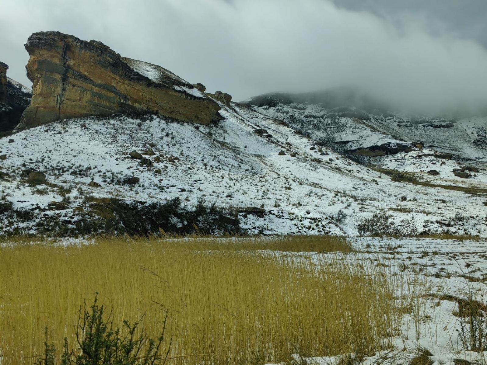 Sielerus By Horeb * Clarens